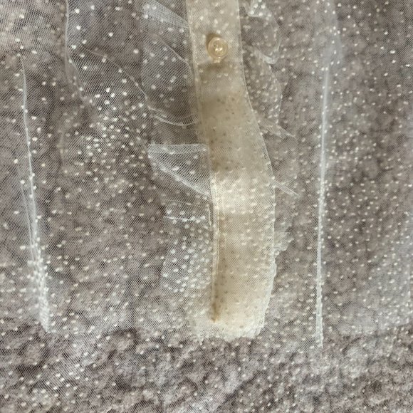 ZARA Tulle Ruffle Mesh Blouse - Picture 4 of 5